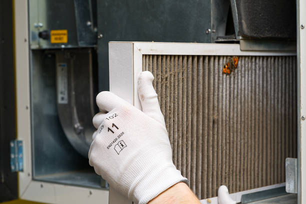Best Air Quality Test  in Harlowton, MT
