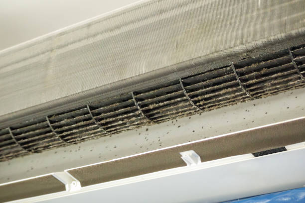 Best Air Duct Sanitizing Services  in Harlowton, MT